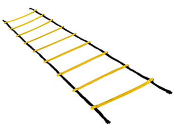 agility ladder regular